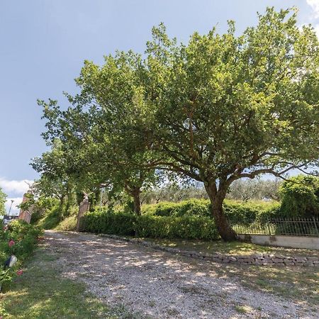 Amazing Apartment In Giano Dellumbria Pg Giano dellʼUmbria Exterior foto